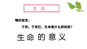 图片[6]-【通用】【生命教育】点亮生命的光生命教育主题班会《生命的意义》-晓雯教务资料