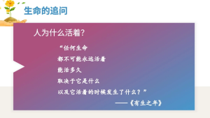 图片[7]-【通用】【生命教育】点亮生命的光生命教育主题班会《生命的意义》-晓雯教务资料