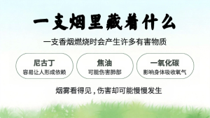 图片[7]-【中小学】世界无烟日主题班会：别让第一支烟偷走你的未来-晓雯教务资料